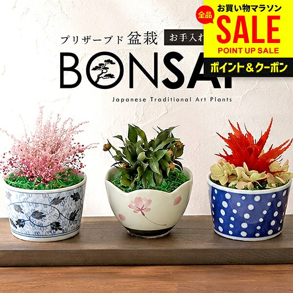 ＼楽天1位／【専用トレイ付き】 盆栽 3点セット ギフト 誕生日 敬老の日 プレゼント 枯れないミニ盆栽 プリザーブド プリザ 花 苔玉 小盆栽 和風 もみじ 簡単 ボンサイ インテリア 雑貨 おしゃれ かわいい (あす楽)