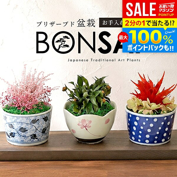 ＼最大全額ポイント還元／【楽天1位★専用トレイ付き】盆栽 3点セット ギフト 敬老の日 誕生日 プレゼント 枯れないミニ盆栽 プリザーブド プリザ 花 苔玉 小盆栽 和風 もみじ 簡単 ボンサイ インテリア 雑貨 おしゃれ かわいい (あす楽)