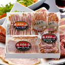 \最大全額ポイント還元/ 内祝い お返し 送料無料 ハム お中元 夏ギフト 暑中見舞い ギフト 詰め合わせ 秀麗豚 ハムづくし セット お取り寄せ 出産内祝い 新築祝い 結婚内祝い 香典返し 快気祝い お祝い返し お礼 プレゼント メーカー直送 【代引不可】 冷凍便