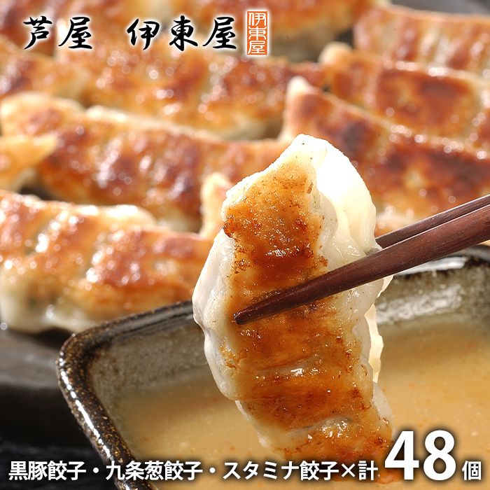 内祝い お返し 送料無料 惣菜 中華 点心 ギフト 詰め合わせ 伊東屋 餃子3種 計48個 セット お取り寄せ 出産内祝い 新築祝い 結婚内祝い 引き出物 香典返し 快気祝い お祝い返し 引越し 挨拶 お礼 母の日 プレゼント ははの日 メーカー直送 【代引不可】 GS-35 冷凍便