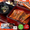 内祝い お返し 送料無料 惣菜 海鮮 お中元 夏ギフト 御中元 ギフト 詰め合わせ 国産 うなぎ問屋の 大五蒲焼 一人前 セット お取り寄せ 出産内祝い 新築祝...