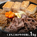 内祝い お返し 送料無料 肉 和牛 お中元 夏ギフト 御中元 ギフト お取り寄せグルメ くまもと あか牛 切落し 計1kg 国産 セット 詰め合わせ 冷凍便 出...