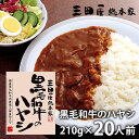 \最大全額Pバック!/ 内祝い お返し 送料無料 惣菜 母の日 ギフト 黒毛和牛のハヤシ 20食 セット 詰め合わせ 三田屋総本家 出産内祝い 結婚内祝い 新築...