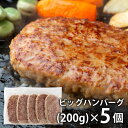 \最大全額ポイント還元/ 内祝い お返し 送料無料 惣菜 お中元 夏ギフト 御中元 ギフト ビッグ ハンバーグ 5個入 セット 詰め合わせ ボリュームたっぷり ...