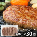 \最大全額Pバック!/ 内祝い お返し メーカー直送 送料無料 惣菜 母の日 ギフト ビッグ ハンバーグ 計30個 セット 詰め合わせ ボリュームたっぷり 出産...
