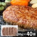 内祝い お返し 送料無料 惣菜 お中元 夏ギフト 御中元 ギフト ビッグ ハンバーグ 計40個 セット 詰め合わせ ボリュームたっぷり 出産内祝い 結婚内祝い ...