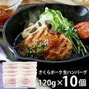 \最大全額ポイント還元/ 内祝い お返し 送料無料 お取り寄せグルメ お中元 夏ギフト ギフト 詰合せ さくらポーク 生ハンバーグ セット HB10-SP 結婚...