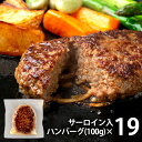 \最大全額Pバック!/ 内祝い お返し 送料無料 お取り寄せグルメ 母の日 ギフト セット 詰合せ ハンバーグ サーロイン入 19個 SR-N19 結婚 出産 ...