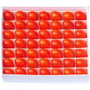 お中元 御中元 送料無料 野菜 ギフト トマト オスミック ファースト プリンセス 450g 箱詰 セット 詰め合わせ 糖度 果物 フルーツ 食品 グルメ 食べ物 お中元ギフト 2025 夏ギフト 贈り物 お返し 挨拶 お礼 会社 人気 おすすめ