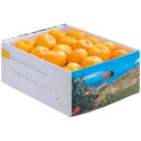 お歳暮 送料無料 果物 ギフト フルーツ みかん 温州みかん 3kg 愛媛県 西宇和産 セット 詰め合わせ 旬の 国産 果実 食品 グルメ 食べ物 御歳暮 2025 お歳暮ギフト 贈り物 お返し 挨拶 お礼 会社 ランキング 人気 おすすめ