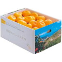 お歳暮 送料無料 果物 ギフト フルーツ みかん 愛媛県西宇和産 温州みかん 5kg セット 詰め合わせ 旬の 国産 果実 食品 グルメ 食べ物 御歳暮 2025 お歳暮ギフト 贈り物 お返し 挨拶 お礼 会社 ランキング 人気 おすすめ