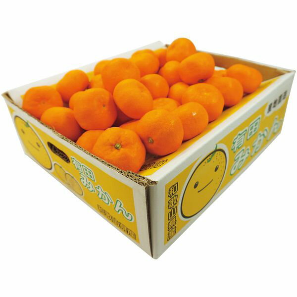 お歳暮 送料無料 果物 ギフト フルーツ みかん 和歌山県産 有田みかん 5kg セット 詰め合わせ ...