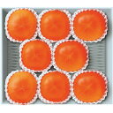 お歳暮 送料無料 果物 ギフト フルーツ 柿 富有柿 8玉 セット 詰め合わせ 旬の 国産 果実 食品 グルメ 食べ物 御歳暮 2025 お歳暮ギフト 贈り物 お返し 挨拶 お礼 会社 ランキング 人気 おすすめ