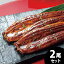 内祝い お返し 送料無料 惣菜 お歳暮 ギフト 魚介惣菜 ウナギ 鰻 うなぎの蒲焼き 長焼 2尾 大森淡水 国..