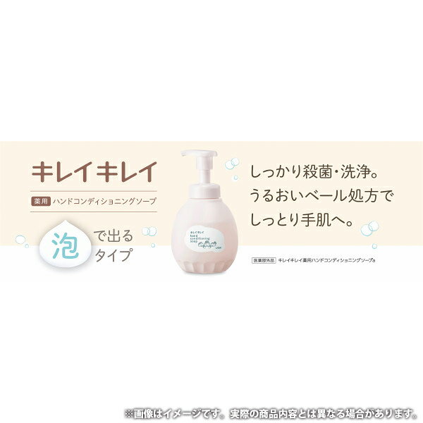内祝い お返し 送料無料 ハンドソープ 父の日 お中元 ギフト 本体 詰め替え ライオン キレイキレイ 泡タイプ セット 詰め合わせ ボディケア せっけん 衛生日用品 出産内祝い 結婚内祝い 結婚祝い 出産祝い 引き出物 香典返し お祝い返し 引越し 挨拶 お礼 LKC-30
