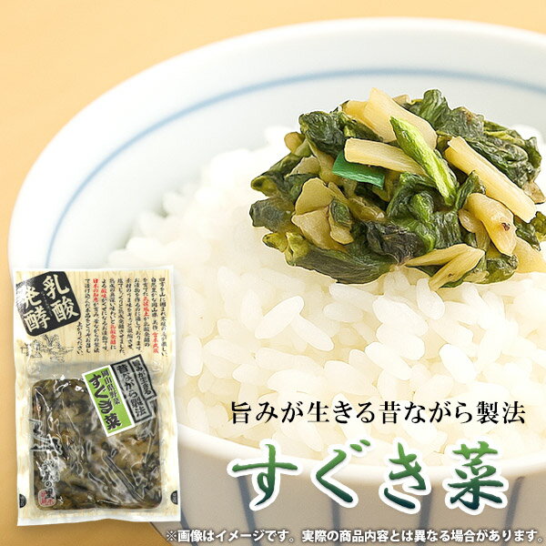 漬物 国産 すぐき菜 塩漬 乳酸発酵 発酵食品 120g ご飯のお供 ごはんのとも 惣菜 和風惣菜 おつまみ 酒の肴 副菜 小鉢 常備菜 手土産 お取り寄せ グルメ 粗品 景品 常温 食品 食べ物 【のし・包装不可】