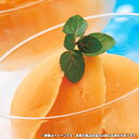 \最大全額ポイント還元/ お中元 送料無料 スイーツ ギフト 函館牛乳 クリーミーな メロン シャーベット 10個 セット 詰め合わせ 北海道産 メロン果汁 メ...