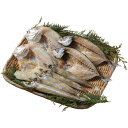 \7/5★最大全額Pバック!/ お中元 御中元 送料無料 海鮮 魚介 海産物 ギフト 干物 山陰海鮮一夜干し セット 詰め合わせ れんこ鯛 沖きす 丸干し あじ開き ひもの 魚 冷凍 食品 グルメ お中元ギフト 2025 夏ギフト 贈り物 お返し 挨拶 お礼 会社 人気 おすすめ 6364-35