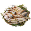 お中元 御中元 送料無料 海鮮 魚介 海産物 ギフト 干物 山陰海鮮一夜干し セット 詰め合わせ れんこ鯛 沖きす 丸干し あじ開き えてかれい かます ひもの...
