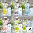 母の日 ハーバリウム ピュアローズ(角瓶100ml) 5カラー Pure プレゼント Rose 観葉植物 インテリア 雑貨 おしゃれ プリザーブドフラワー 花 ...