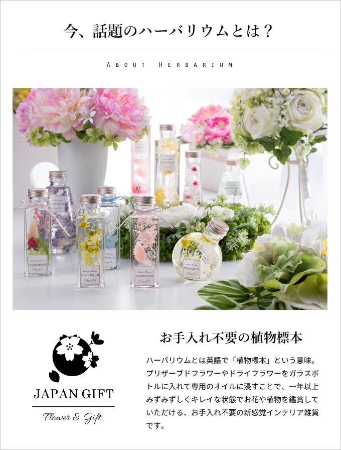 ハーバリウム ピュアローズ(角瓶100ml) 5カラー Pure 父の日 プレゼント 父の日ギフト Rose 観葉植物 インテリア 雑貨 おしゃれ プリザーブドフラワー 花 ドライフラワー【ラッピング・カード等・ギフト対応不可】 3