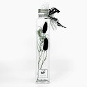 母の日 ハーバリウム ハニーテール(ブラック)&ゴアナクロー 角瓶 プレゼント 観葉植物 インテリア 雑貨 プリザーブドフラワー 花 ドライフラワー【ラッピング...