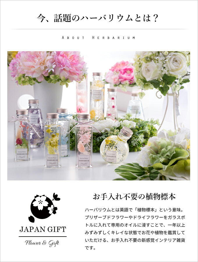 ＼最大全額ポイント還元／ ハーバリウム ハニーテール(ブラック)＆ゴアナクロー 角...