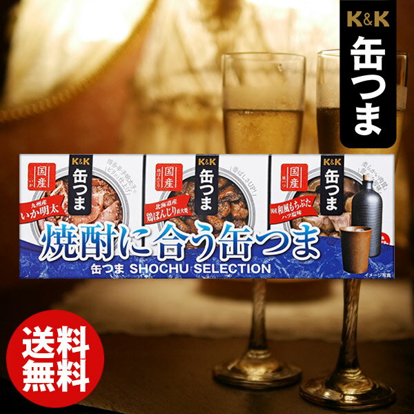 内祝い お返し 送料無料 缶つま ギフト おつまみセット 缶詰 詰め合わせ 焼酎セレクション (10) 惣菜 和風惣菜 つまみ 酒の肴 結婚内祝い 出産快気祝い 香典返し 人気 お礼 名入れ 父の日 プレゼント 父の日ギフト ゴルフコンペ 景品 食品 お取り寄せグルメ(あす楽)