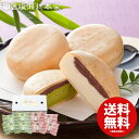 【メーカー直送 送料無料】アイス...