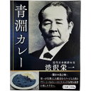 内祝い お返し 惣菜 カレー ギフト インスタントカレー レトルトカレー 青淵カレー せいえんカレー 青色 1食 保存食 お土産 食品 常温 粗品 景品 出産内...