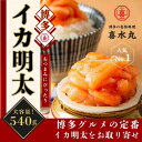 いかめんたい グルメ ギフト 九州 福岡 お取り寄せ ご飯のお供 珍味 おつまみ お歳暮 お中元 母の日 父の日