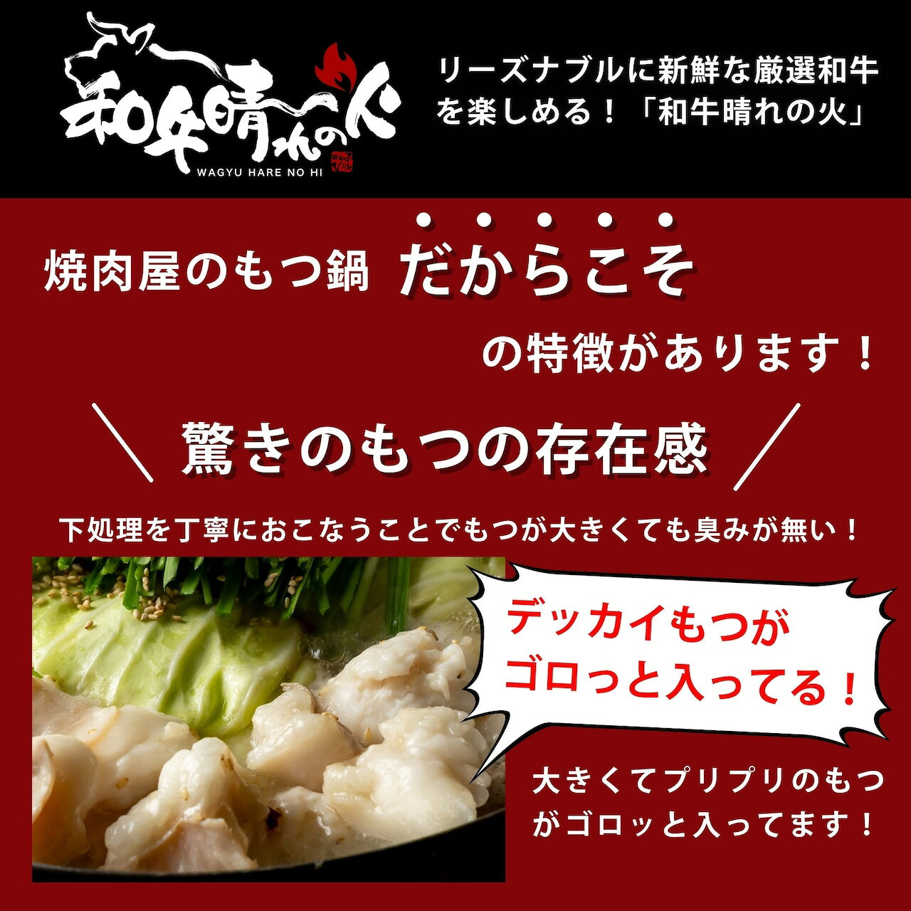 博多バリうま横丁の50％OFFクーポン 博多もつ鍋 辛旨 2～3人前 国産 もつ 牛もつ ホルモン 鍋セット 鍋料理 冷凍食品 冷凍 惣菜 お惣菜 簡単調理 湯せん 夕食 家庭用 お取り寄せ グルメ パーティー 宅飲み 冷凍 食品 冷食 おかず スープ 鍋 冬グルメ ごちそう｜アングル3
