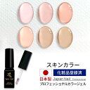 安心の日本製 カラージェル スキンカラー LEDUV対応ジェル ジェルネイル 化粧品登録済