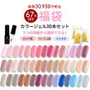 【数量限定 2025福袋】ボトルカラージェル30色セット ジェルネイル ボトルタイプ 化粧品登録済