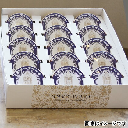 【北海道】元町チーズケーキ　15個 お取り寄せ 食品 グルメ ギフト お土産 プレゼント 贈答 送料無料 ご褒美 (レビュー記入で300円OFFクーポン配布中)のサムネイル