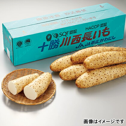 【12月上旬以降発送予定】 十勝川西長いも　5kg 送料込み ギフト プレゼント 贈答 お取り寄せ ギフト お土産 (レビュー記入で300円OFFクーポン配布中)のサムネイル