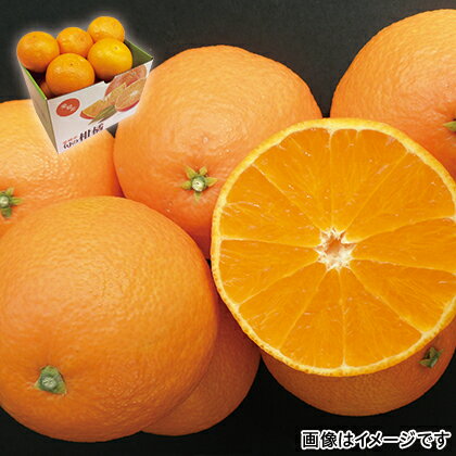 【12月上旬以降発送予定】 紅まどんな（1．5kg） 送料込み ギフト プレゼント 贈答 お取り寄せ ギフト お土産 (レビュー記入で300円OFFクーポン配布中)のサムネイル