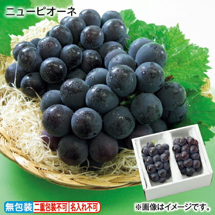 お中元のし付き ニューピオーネ お取り寄せ ギフト プレゼント 贈答 送料無料 中元おすすめ果物 (レビュー記入で300円OFFクーポン配布中)のサムネイル