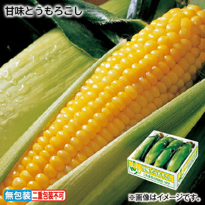 【お中元のし付き】 甘味とうもろこし お取り寄せ ギフト プレゼント 贈答 送料無料 (レビュー記入で300円OFFクーポン配布中)のサムネイル