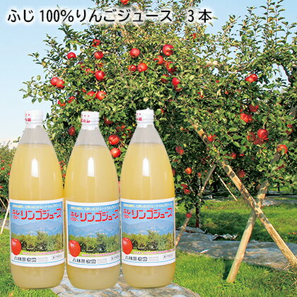 ふじ100％りんごジュース 　3本　160g缶 ギフト プレゼント 贈答 産直 お取り寄せ お土産 (レビュー記入で300円OFFクーポン配布中)