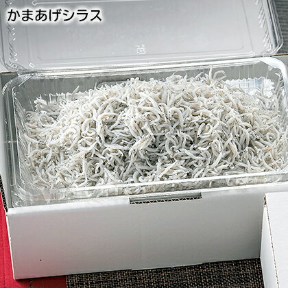 かまあげシラス ギフト プレゼント 贈答 産直 お取り寄せ お土産 (レビュー記入で300円OFFクーポン配布中)