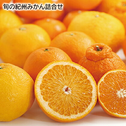 旬の紀州みかん詰合せ ギフト プレゼント 贈答 産直 お取り寄せ お土産 (レビュー記入で300円OFFクーポン配布中)