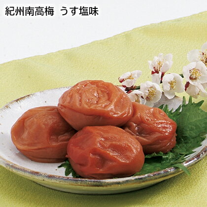 紀州南高梅　うす塩味 ギフト プレゼント 贈答 産直 お取り寄せ お土産 (レビュー記入で300円OFFクーポン配布中)