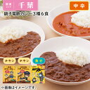 銚子電鉄カレー3種6食 ギフト プレゼント 贈答 お取り