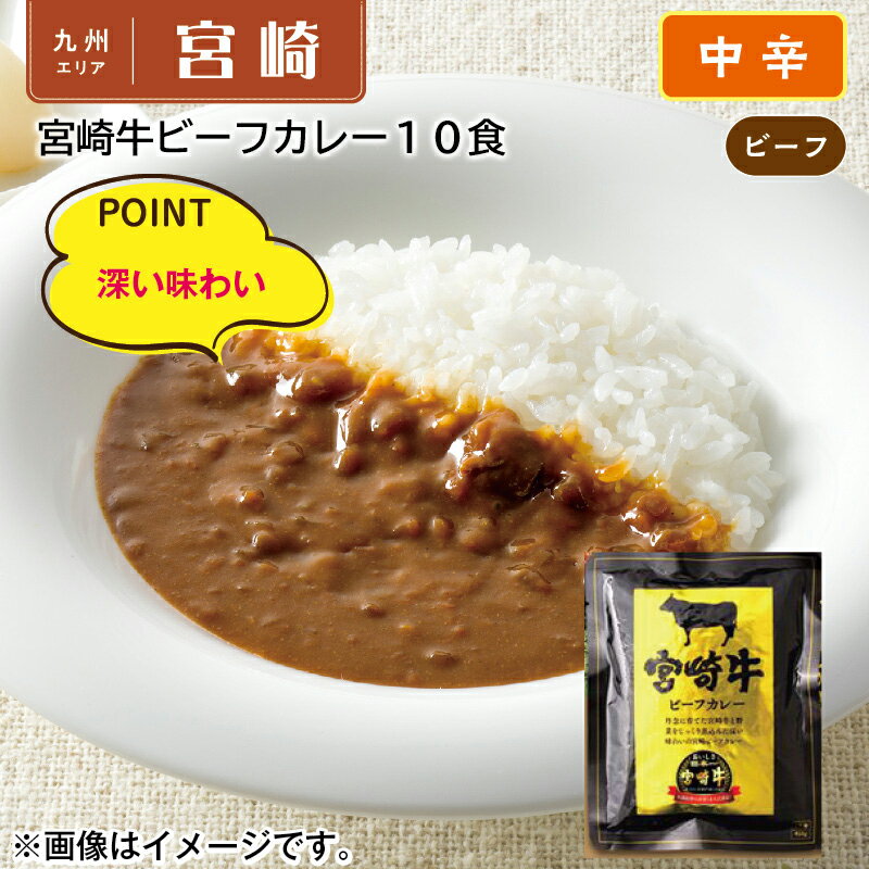 宮崎牛ビーフカレー10食 ギフト プレゼント 贈答 お取り寄せ カレー レビュー記入で300円OFFクーポン配布中 