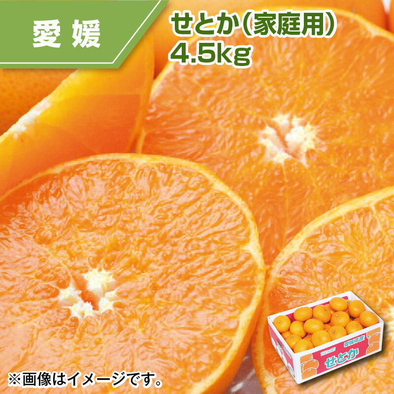 せとか（家庭用）4．5kg ミカン みかん 送料込み ギフト プレゼント 贈答 お取り寄せ お土産 (レビュー記入で300円OFFクーポン配布中)