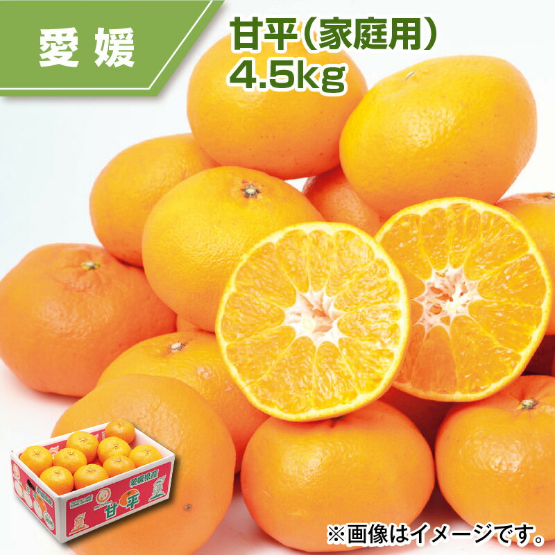 甘平（家庭用）4．5kg ミカン みかん 送料込み ギフト プレゼント 贈答 お取り寄せ お土産 (レビュー記入で300円OFFクーポン配布中)のサムネイル