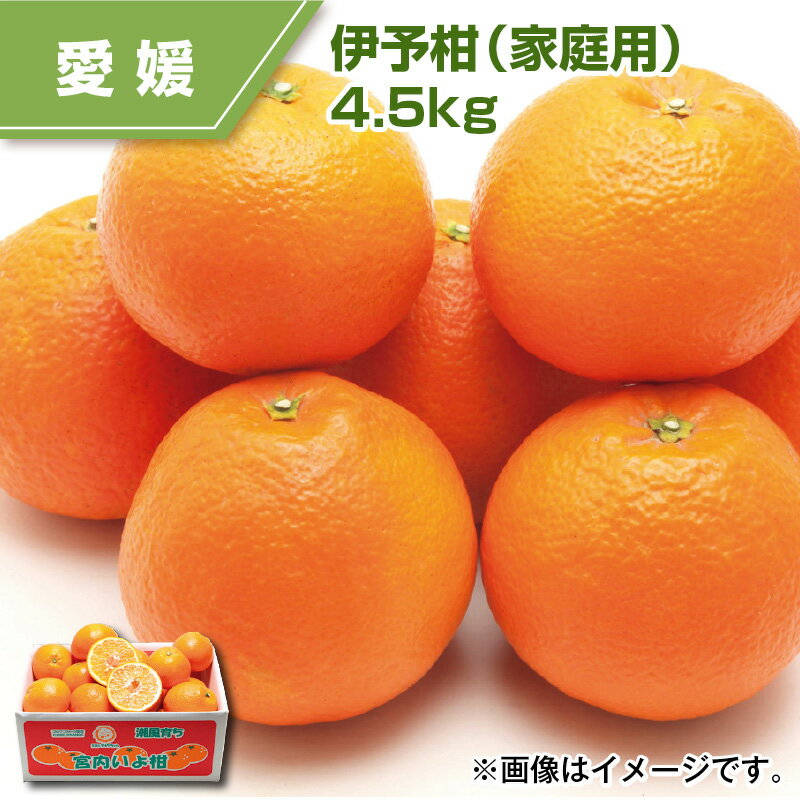 伊予柑（家庭用）4．5kg ミカン みかん 送料込み ギフト プレゼント 贈答 お取り寄せ お土産 (レビュー記入で300円OFFクーポン配布中)