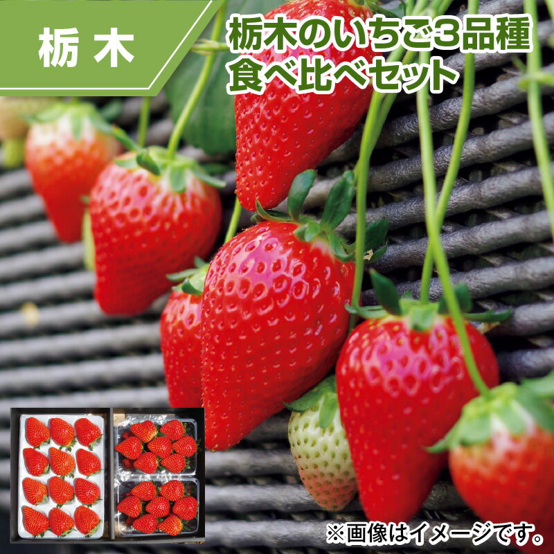 栃木のいちご3品種 食べ比べセット イチゴ いちご 送料込み ギフト プレゼント 贈答 お取り寄せ お土産 (レビュー記入で300円OFFクーポン配布中)のサムネイル
