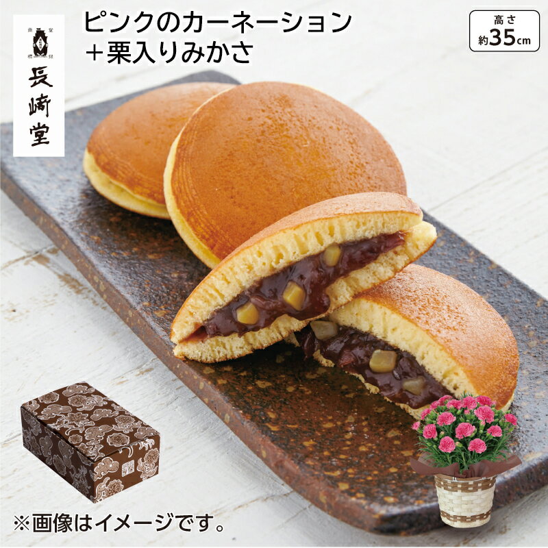 ピンクのカーネーション＋栗入りみかさ 送料込み ギフト プレゼント 贈答 お取り寄せ お土産 母の日 母の日 2024 (レビュー記入で300円OFFクーポン配布中)